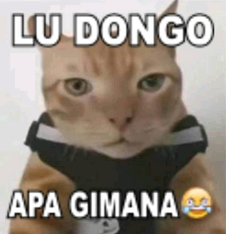 Uyup